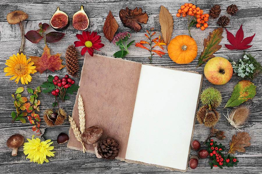 fall journal