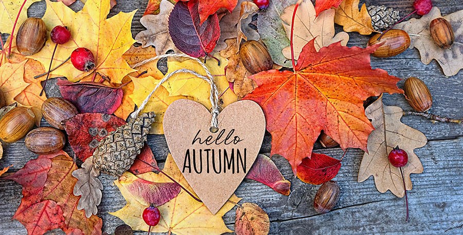 Hello autumn!
